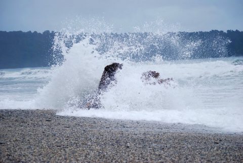 Das Wasser-Element